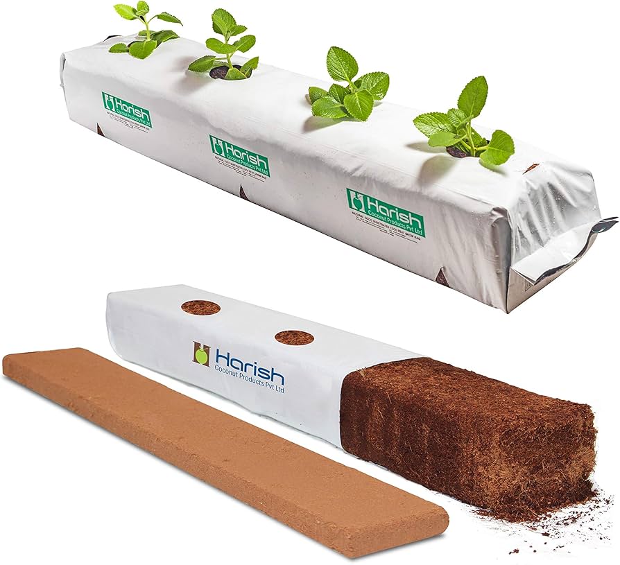 گروبگ کوکوپیت