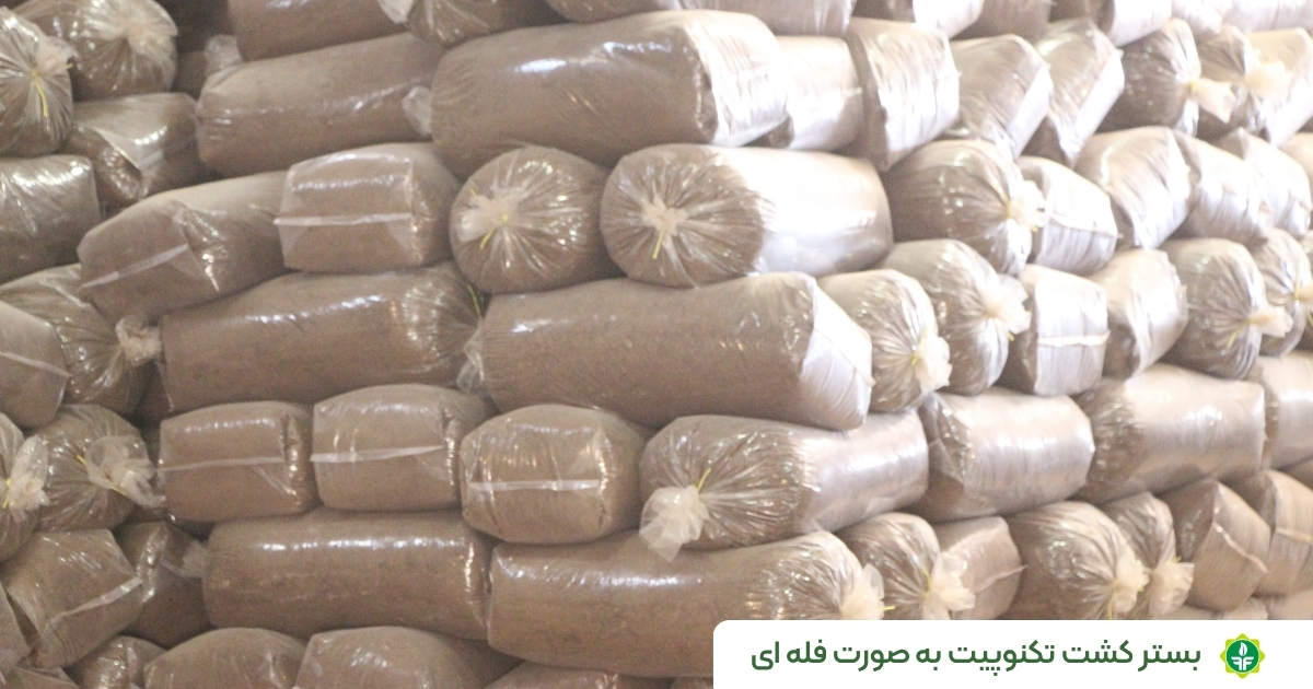 بستر کشت گلخانه تکنوپیت به صورت فله