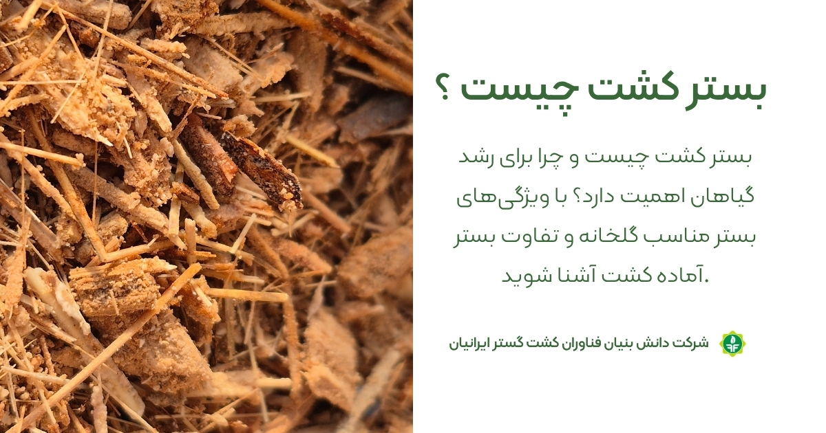 بستر کشت چیست و چگونه بستر مناسب برای گلخانه انتخاب کنیم؟