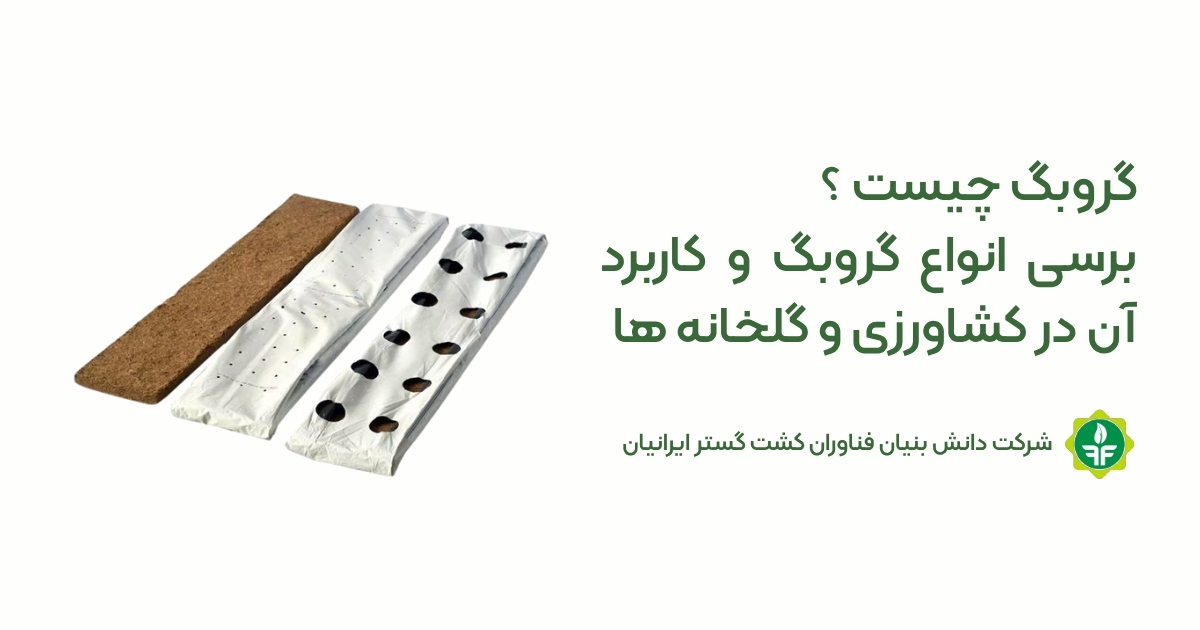 گروبگ چیست؟ بررسی انواع گروبگ و کاربرد آن در کشاورزی و گلخانه‌ها